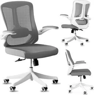 Home Office Desk Chair, High Back Ergonomic Comfty Office Chair, Swivel Computer Managerial Chair with Adjustable Lumbar Support (Grey)