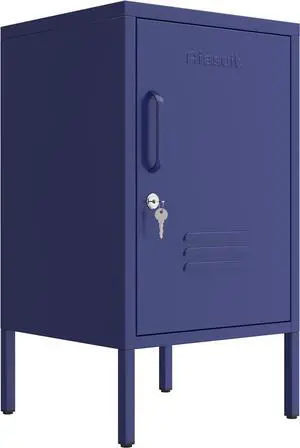 Single Door Storage Cabinet Coffee Table Metal Storage Cabinet Adjustable Position Suitable for Bedside Table Side Table Kids Cabinet Blue Size: 27.55H X 13.78W X 14.96D