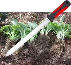 Keyfit Tools Spartan Garden Knife Perennial Splitter Divider Super Sharp Double Sided Serrated Stainless Steel 8 Blade 5 Ergonomic Rubber Handle Hori Hori Knife Gardening Tools