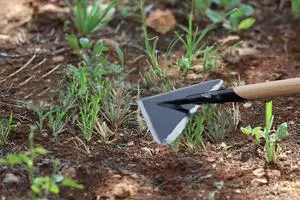 Rogue Scuffle Hoe high Grade Tempered Steel 60-inch Wooden Handle 6 inch Wide Triangle Head Sharp on All 3 Sides Handmade Sturdy Built (1) Rogue Scuffle Hoe high Grade Tempered Steel 60-inch Wooden Handle 6 inch Wide Triangle Head Sharp on All 3 Sides Handmade Sturdy Built (1)