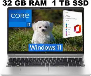 HP ProBook 450 G10 15 Laptop, 15.6" FHD (1920 x 1080) Display, Intel Core i7-1355U 10 Cores Processor, Interl UHD Graphcis, 32GB DDR4  1TB PCIe SSD, Wi-Fi 6, Windows 11 ,Office 2024 License