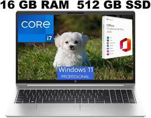 HP ProBook 450 G10 15 Laptop, 15.6" FHD (1920 x 1080) Display, Intel Core i7-1355U 10 Cores Processor, Interl UHD Graphcis, 16GB DDR4  512GB PCIe SSD, Wi-Fi 6, Windows 11 Pro ,Office 2024 License