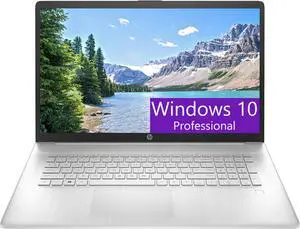 HP 17 Laptop, 17.3" FHD (1920 x 1080) display, AMD Ryzen 5 5500U 6-Core up to 4.0GHz, AMD Radeon Graphics, 32GB DDR4  2TB PCIe SSD, Fingerprint, Webcam, WiFi, Windows 10 Pro