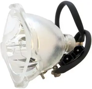 Jaspertronics OEM Z52SZ80 (P22) Bulb for Zenith Projectors