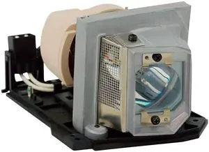 Advanced Lamps Lamp & Housing for The Ricoh 308931 Projector - 90 Day Warranty
