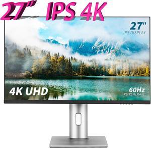 ReHisk 27-Inch 4K UHD (3840x2160) Computer Monitor, Borderless Display, HDMI, USB Hub with USB-C, 4K IPS Ultrawide Monitor 60Hz Refres Built-in Speakers
