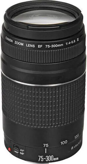 Canon EF 75-300mm f/4-5.6 III Lens 6473A003 - Brand New in White Box