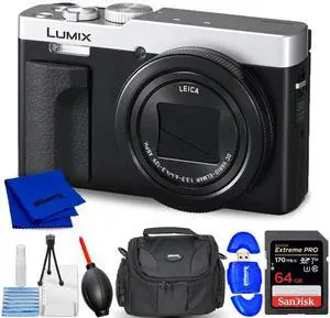 Panasonic TZ99/ZS99 Digital Camera (Silver) DC-TZ99E-S - 7PC Accessory Bundle