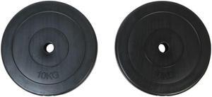 vidaXL 2 x Weight Plates 22 lb - Black
