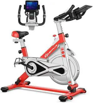 Adjustable Stationary Silent Belt Exercise Bike With Electronic Display