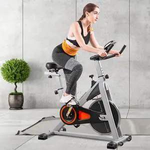 Indoor Cycling Bike Stationary, Belt Driven Smooth Exercise Bike with Oversize Soft Saddle and LCD Monitor MS192377AAE