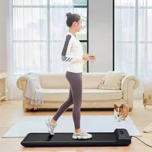 WalkingPad C2 Foldable Treadmill Smart Quiet Brushless Motor 12 Gear Adjustable Folding Electric Fitness Walking Pad With US Plug