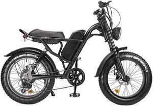 Z8 ELectric Bike 20*4.0'' Fat Tire 48V 500W Motor 15Ah Battery 45km/h Max Speed 7-Speed Derailleur LCD Display Electric Bicycle