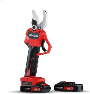 Electric Pruning Shears Professional Cordless Electric Pruning Battery Powered, Tree Branch Pruner with 2 PCS Rechargeable 2 Ah Lithium Battery - 30mm (1.2inch) Cutting Diameter