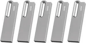 Aiibe 64GB Flash Drive 5 Pack Metal USB Drive Thumb Drive 64GB USB 2.0 Memory Stick Waterproof USB Flash Drives Jump Drive USB Stick with Keychain (64GB, Silver)