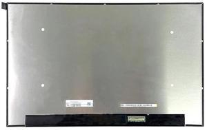 LPScreen for NE160QDM-NY7 WQXGA 2560x1600 16 inch Display Without Touch