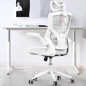 , Ergonomic Mesh Desk Chair, High Back Computer Chair- Adjustable Headrest with Flip-Up Arms, Lumbar Support, Swivel Executive Task Chair (Modern, White)