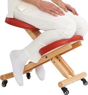 Luxton Home Ergonomic Chair Work from Home Posture Chair with