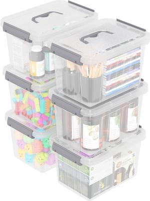 Ponpong 6 L Plastic Storage Container Box, Small Plastic Bin with Lid, Clear and Grey, 6 Packs