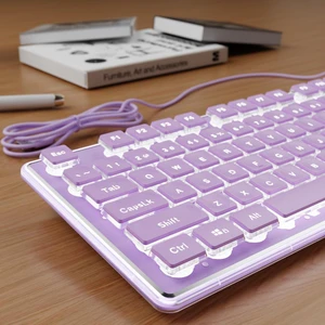 SEUNKWANG Wired Backlit Keyboard with Pudding Keycaps, Quiet Full Size Computer Keyboard White Backlight Easy-to-Read, Never Fade, Metal Panel, USB Cute Desk Setup for Windows PC Desktop, Purple SEUNKWANG Wired Backlit Keyboard with Pudding Keycaps, Quiet Full Size Computer Keyboard White Backlight Easy-to-Read, Never Fade, Metal Panel, USB Cute Desk Setup for Windows PC Desktop, Purple