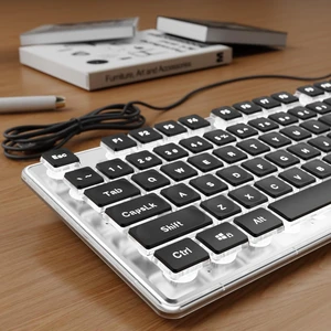SEUNKWANG Wired Keyboard with White Backlight Pudding Keycaps, Black | Quiet Full Size Computer Keyboard Easy-to-Read, Never Fade, Metal Panel, USB Cute Desk Setup for Windows PC Desktop, EWEADN SEUNKWANG Wired Keyboard with White Backlight Pudding Keycaps, Black | Quiet Full Size Computer Keyboard Easy-to-Read, Never Fade, Metal Panel, USB Cute Desk Setup for Windows PC Desktop, EWEADN
