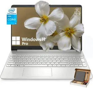 HP Business Laptop Computer, 15.6" HD Touchscreen, Intel Core i3-1115G4, 32GB RAM, 1TB SSD, Intel UHD Graphics, Wi-Fi, Bluetooth, Webcam, Windows 11 Pro, Silver