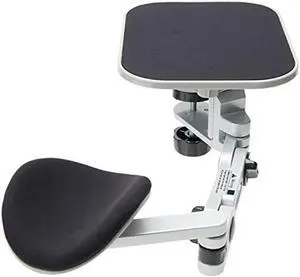 Ergoguys Arm-Stand Computer Armrest (eg-ergoarm), Silver, 12.1 X 8.8 X 5.6 Inches