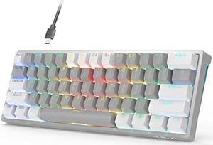AULA 29 RGB 60 Percent Wired PC Gaming Keyboard Mechanical, Mini Compact Micro Gaming Keyboards Small,Hot Swappable Mechanical Keyboard with Blue Switches-White&Grey