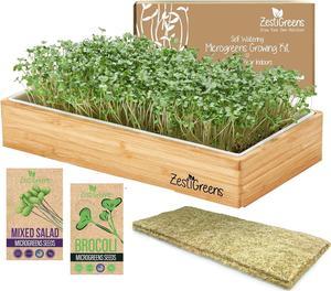 Microgreens Growing Kit Self Watering  Healthy Gift with Microgreens Tray Seeds Mats and Bamboo Surround No Soil Needed Easy Setup Sprouting Kit with OneTime Watering Salad  Broccoli