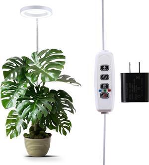 EcoNour 65 Halo Plant Grow Light for Indoor Plants, Full Spectrum 6000k Grow Light for Plants, Auto On/Off Timer, Tall Plant Growing LED Lamp