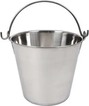 Lindy's 4-Quart Stainless Steel Bucket, Durable Seamless Bucket for Many Home Tasks, Carry Water or Milk, Fill with Food, Use as a Flower Pot, Cleaning Bucket, Table Centerpiece and Much More