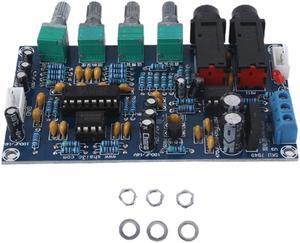 Dual Power Microphone Amplifier Board Sound AMP Module Digital  Plate