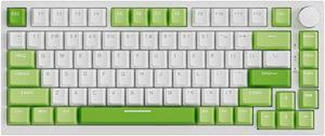 AK820  Mechanical Gaming Keyboard wired,RGB  Lighting Modes,82 Keys 100% Anti-Ghosting Mechanical Keyboard for Laptop, Windows,MAC, Green-White Keyboard(Green Switch)