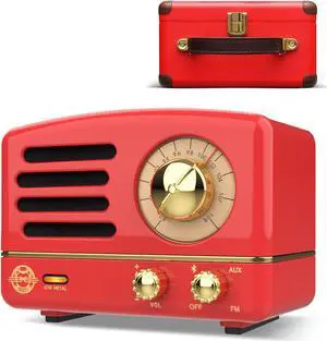 Muzen OTR Metal Portable Bluetooth Speaker with Retro knob Tuner FM Radio, Also with Suitcase Gift Case, Wireless Bluetooth Speaker with Loud Stereo Sound, for Home Outdoor Travel