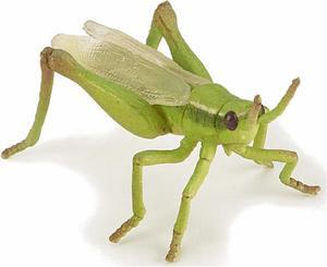 Papo Grasshopper Animal Figure 50268