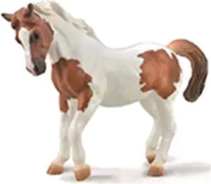 CollectA Chincoteaguew Pony Horse Figure 88929