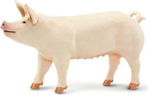 Large White Pig Safari Farm Animal Figure Safari Ltd 100269