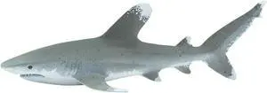 Oceanic Whitetip Shark Wild Safari Ocean Figure Safari Ltd 100271