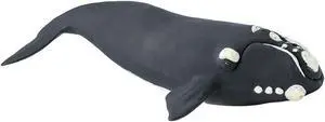 Right Whale Wild Safari Sea Figure Safari Ltd