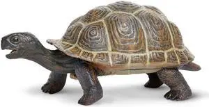 Tortoise Baby Incredible Creatures Figure Safari Ltd