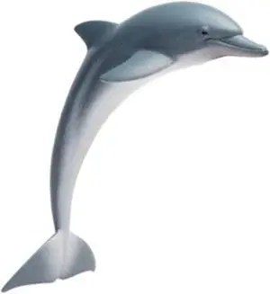 Dolphin Sea Life Safari Ltd
