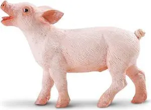 Piglet Safari Farm Safari Ltd