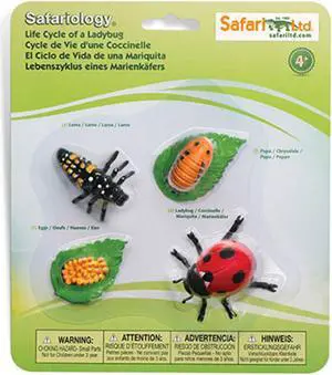 Life Cycle Of A Ladybug Figures Safari Ltd