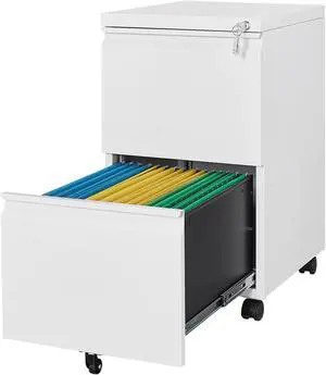AFAIF Metal File Cabinets with 2 Drawer,Under Desk Locking File Cabinet for Legal Letter Files, Office Storage Cabinet with Wheels