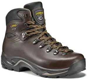 Asolo Men's TPS 520 Gv Mm Evo Regular Width Hiking Boots, Chestnut, US Size 8