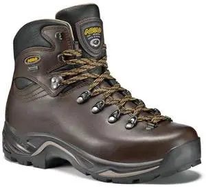 Asolo Men's TPS 520 Gv Evo Wide Width Hiking Boots, Chestnut, Size W 9.5