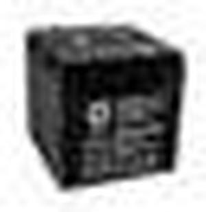 SPS Brand 6V 42Ah Replacement Battery for Light Alarms 5E15BJ (2 Pack)