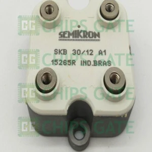 1PCS NEW SKB30/12A1 SKB30-12A1 SKB3012A1 SEMIKRON MODULE 1PCS NEW SKB30/12A1 SKB30-12A1 SKB3012A1 SEMIKRON MODULE
