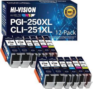 HI-Vision 12 PK Compatible PGI-250XL PGI 250 CLI-251XL CLI 251 HY Ink Cartridge Replacement 4 Lg Black,2X(Black,Cyan,Yellow,Magenta) for MG6320,MG5420,iP7220,MX922,MX722