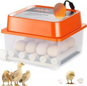 Egg Incubator Incubators for Hatching Eggs Auto Egg Turning 12 Eggs